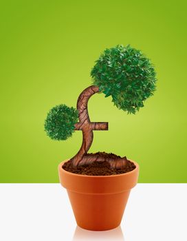 Money tree made of pound sign, a business concept of growing business and investments