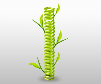 green spring with green leave around.