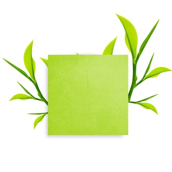 Green Note paper with paper clip and green leaves on white background.