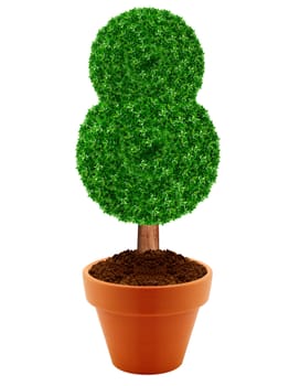 Small green tree in a pot with green background.