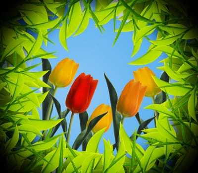 Red, yellow and orange tulips view from inside the hole.