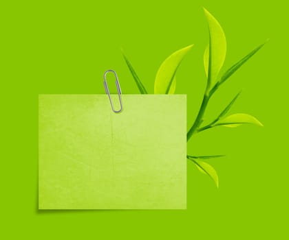 Green Note paper with paper clip and green leaves on green background.