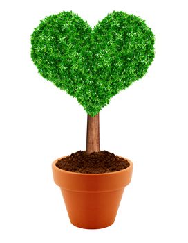 Small green tree in a pot with green background.
