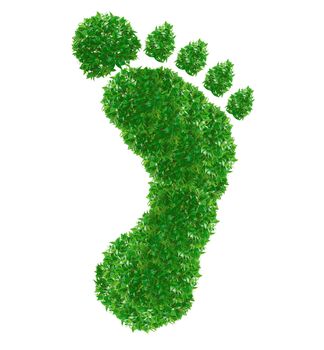 Green footprint Sign made from grass isolated on white.
