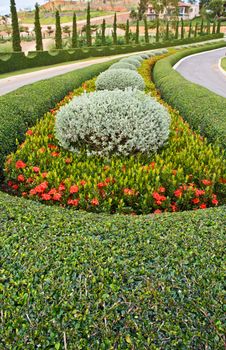 Flowers to the wayside
