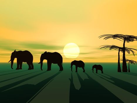 elephants and palms