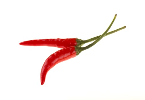 Red chili peppers in a bowl