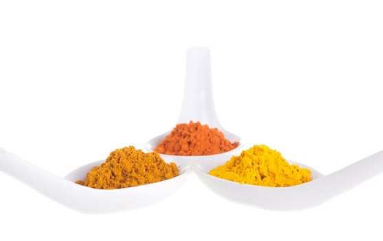 spices in the spoons on a white background