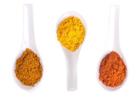spices in the spoons on a white background