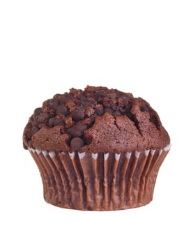 Chocolate muffin isolated on white background.