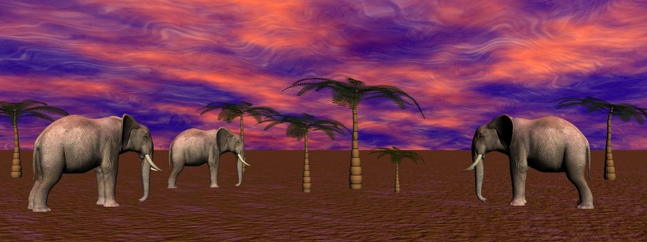 elephants and palms