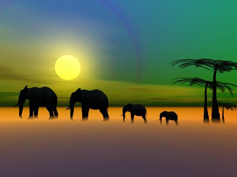 elephants and palms