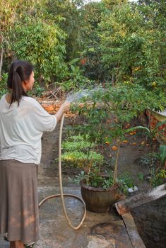 Woman watering plants in the garden behind the house.