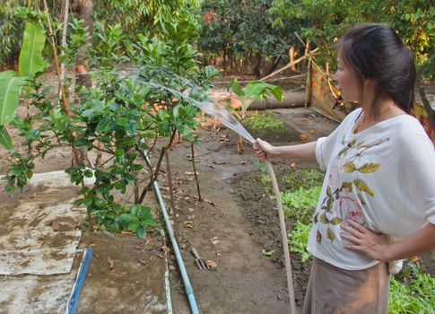 Asian woman watering the plants in backyard