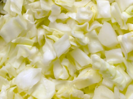 close up of chopped cabbage food background