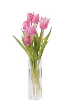 bunch of Tulips in a vase