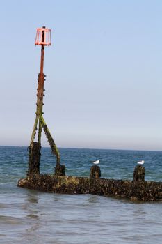 cromer beach 