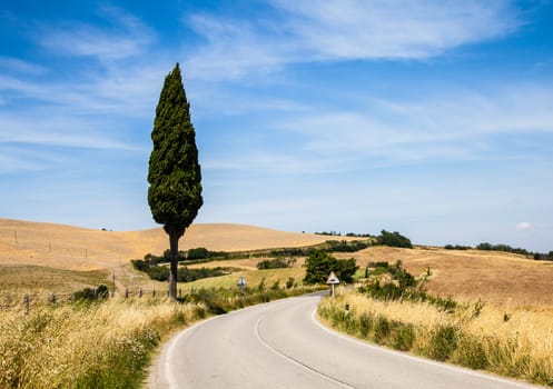 Italy, Tuscany; a road in the middle of the country, close to Asciano