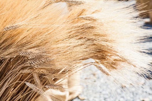 Wheat sacks during a sunny day in a warm  summer season