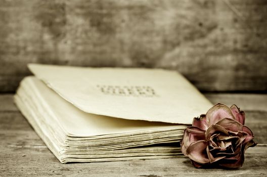 a faded rose between the page an old book