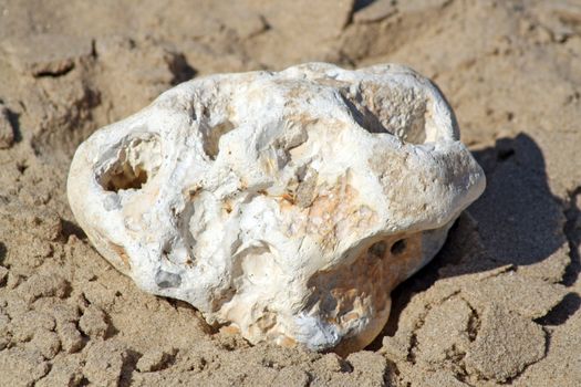 rock on the beach that looks like a skull