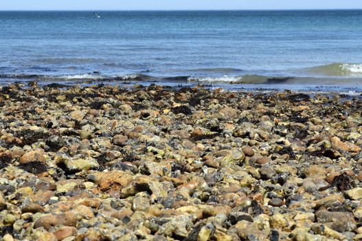 cromer beach on a sunny day