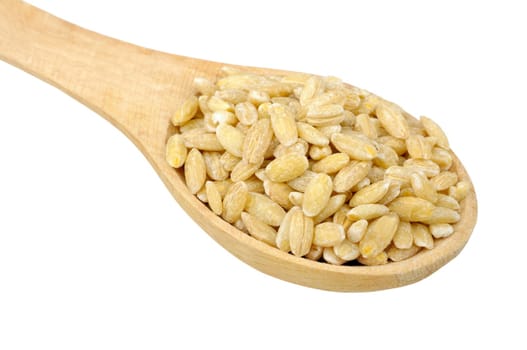 pearl barley in wooden spoon isolated on white background
