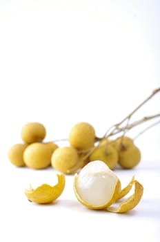 Fresh longan on the white background 