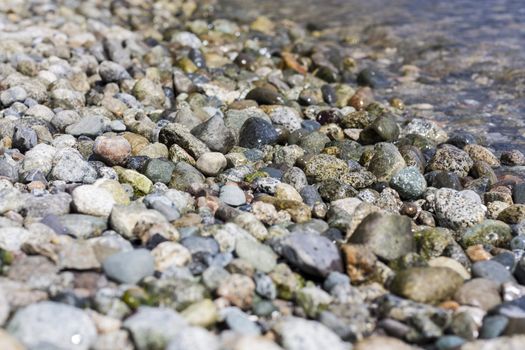 pebble on a beach. British columbia. Canada.