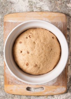 A bread dough with sultanas or raisins rising in a white bowl on top of a flour dusted cutting board.