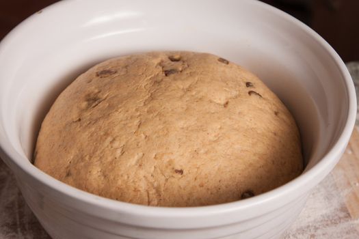 Close-up of a bread dough with sultanas or raisins rising in a white bowl.