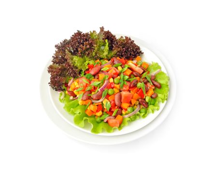 Vegetable salad with beans and Lollo rosso