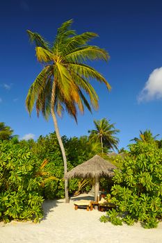 Beautiful tropical beach with coconut palms and white sand and deck chair