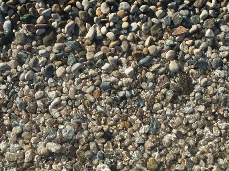 Sea pebble ashore washed by a wave