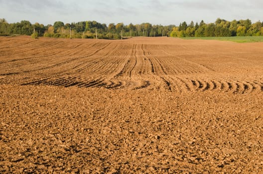 Agriculture plow field in autumn. Loam soil prepare after harvesting.