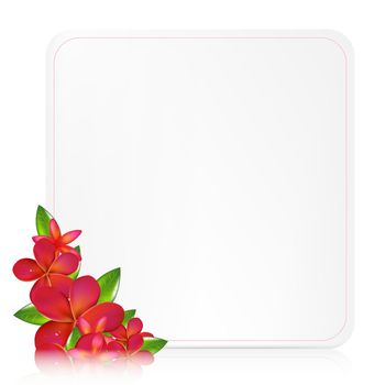 Blank Gift Tag With Pink Frangipani, Vector Illustration