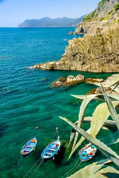 Cliff view in Liguria