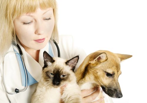 Woman veterinarian with two animals, a cat and a dog