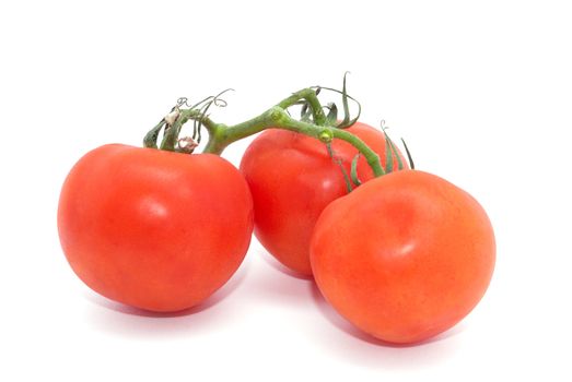 Three red tomatoes on the white background