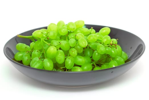 Green vine on a black dish