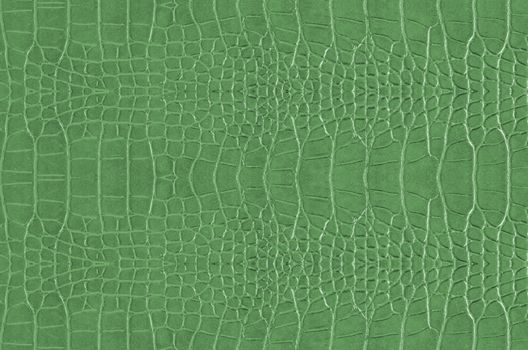 art background with crocodile skin , Alligator skin seamless texture, abstract wallpaper