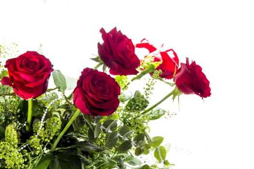 Gorgeous bouquet of red roses on a white background. Fragment.