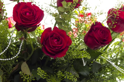 Gorgeous bouquet of red roses on a white background. Fragment.