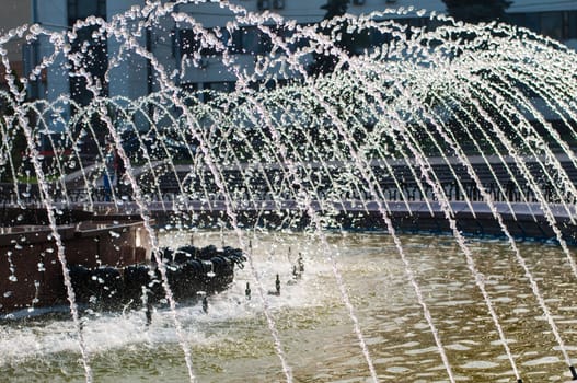 Water jets in a fountain close up