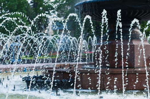 Water jets in a fountain close up