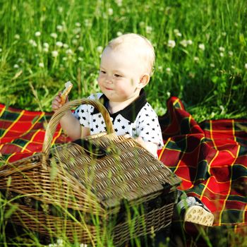  picnic on green grass boy and basket