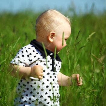 little boy play in green grass