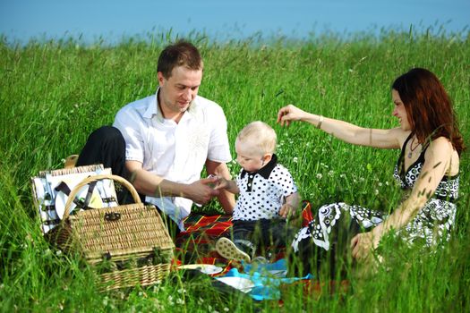  happy family on picnic in green grass