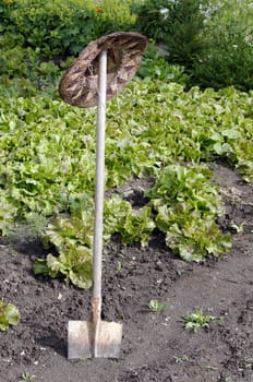 a spade planted in the garden soil, wearing a straw hat