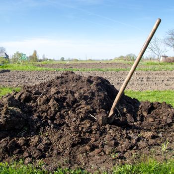 pile of compost near vegetable garden